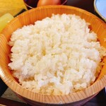 トッサ・ジ・クラッサン - おひつご飯