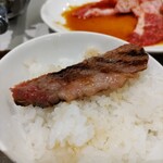 焼肉チャンピオン - オンザライスで頂きました