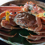 露庵温味 - 