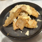 Rigo SPANISH ITALIAN - 