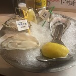 Oyster Bar ジャックポット - 