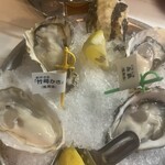 Oyster Bar ジャックポット - 