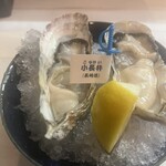Oyster Bar ジャックポット - 