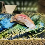 鮨あさひ - アジ