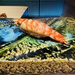 鮨あさひ - 車海老