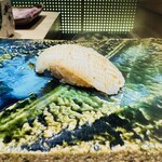 鮨あさひ - アオリイカ