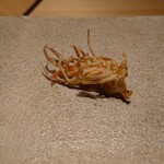 天ぷら北川 - 愛知県天然車海老