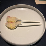 セルサルサーレ - 