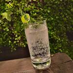 TOKYO Whisky Library - 