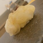 あま木 - 白海老