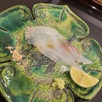 あま木 - コチの刺身