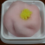 両口屋是清 - 山茶花