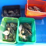 おみやげ村 - カキは１かごずつ購入