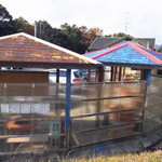 おみやげ村 - カキ小屋(個室風)