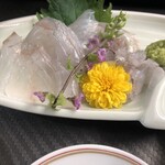 気のきいたつまみと焼鳥の店 えんどう - 平目もハーフサイズでちょうどよい量