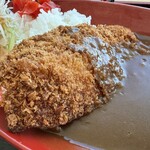 サヤマ テラス - 