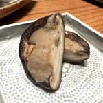 象 SUGATA - 【 しいたけ 】