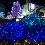 家全七福酒家 SEVENTH SON RESTAURANT - ビルの前のクリスマスイルミネーション