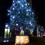 家全七福酒家 SEVENTH SON RESTAURANT - ビルの前のクリスマスイルミネーション