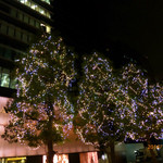 家全七福酒家 SEVENTH SON RESTAURANT - ビルの前のクリスマスイルミネーション