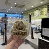 ぽるとがる 海老名SA（下り）店