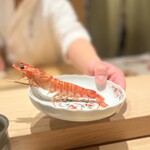 神田錦町 鮨たか晴 - 車海老