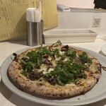 シシリヤ - マイタケ