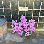 徳ㇵ本也 - さすがのお心遣い。○○さんやはり凄い。