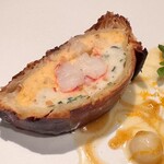 ジョンティ アッシュ - 