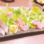 神楽坂イカセンター - 