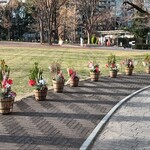 スターバックスコーヒー - 