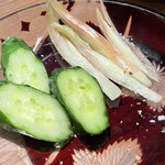 三茶 ユキツバキ - 