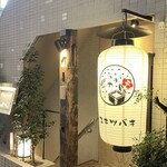 三茶 ユキツバキ - 