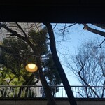 スターバックス・コーヒー - 