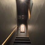 338101545 - 