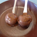 すたみな太郎PREMIUM BUFFET - チョコフォンデュ