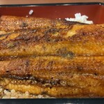 国産うなぎ西政 - 