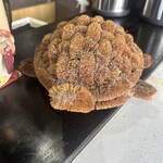 亀ちゃん食堂 - 縁起よさげ