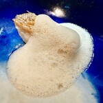 セルサルサーレ - 