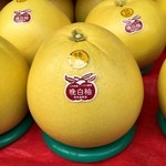 宇城彩館 - 柑橘大王の晩白柚はボウリングの玉並の太さがありますばい（≧∇≦）