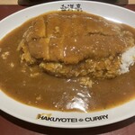 旨辛カレー専門店 白洋亭 - 