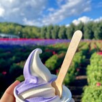 ファーム富田 - 