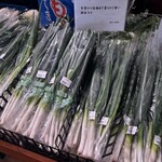 JAファーマーズ たじまんま和田山 - 料理写真:岩津ねぎ