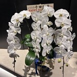 1000 - お誕生日おめでとうございます♪