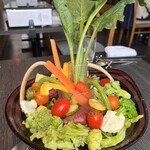 italian bar TAKA’s KITCHEN - 