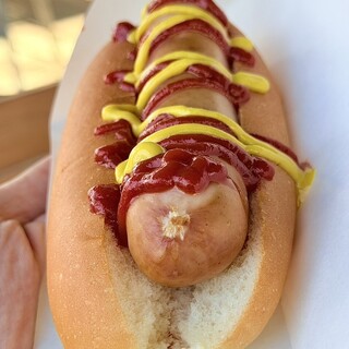 ロブソンフライズ_1