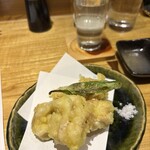 炎影 - 