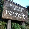 伊豆今井浜 温泉旅館 心のどか