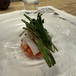 シャントレル - 