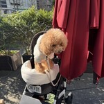 クッチーナ デル カンポ - 落ちるよ～ｗ